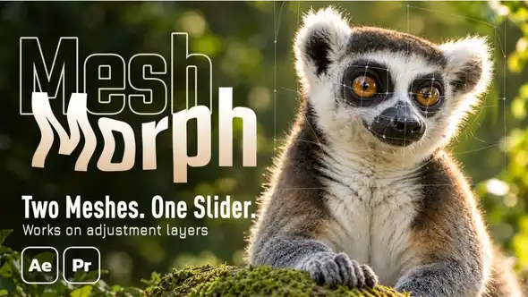 AeScripts – MeshMorph