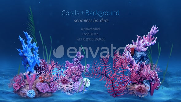 Corals 9214509