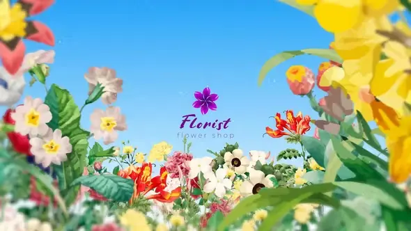 Flower Logo 50729999