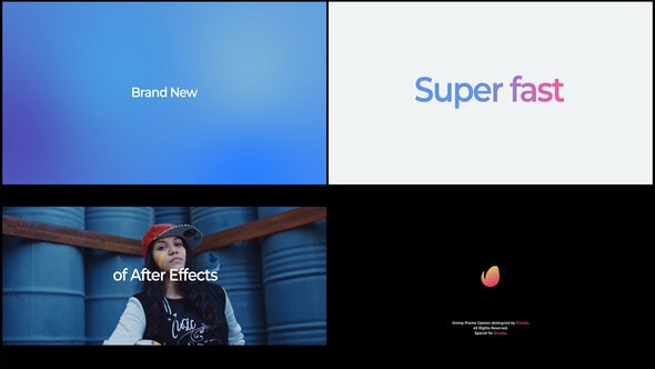 Stomp Opener 29313821