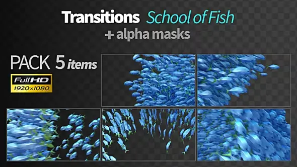 Transitions Fish 20765004