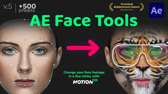 AE Face Tools 24958166