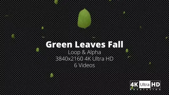 Green Leaves Fall 4K 37985360