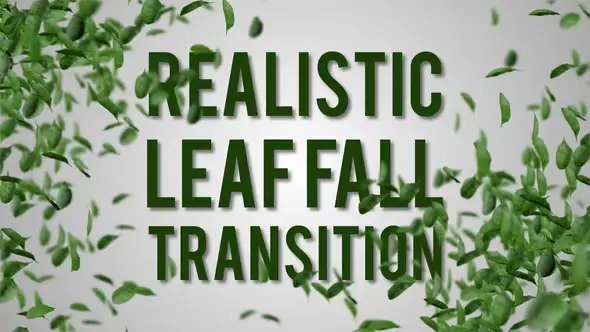 Realistic Leaf Fall Transition 22067626