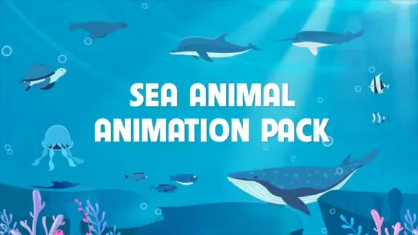 Sea Animal Animation Pack 50749066