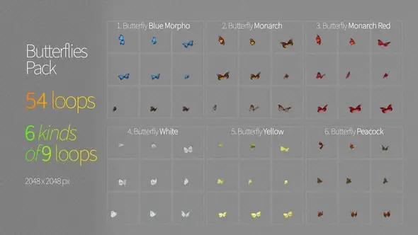 Butterflies 54 32011689