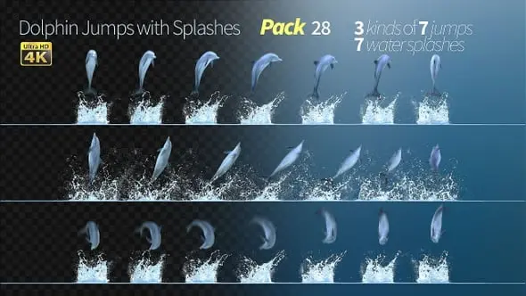Dolphins Jumps Pack 41977044