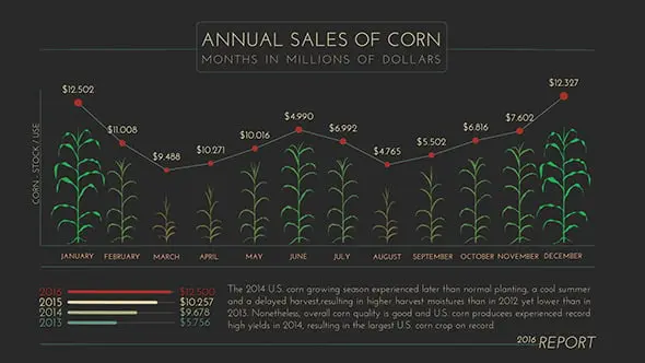 Growth Corn Plant Infographics 12691355