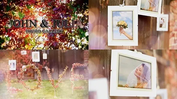 Autumn Wedding Photo Gallery 13693646