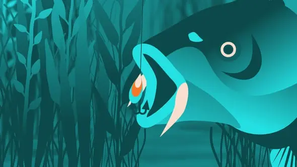 Fishing Intro Logo 24961546