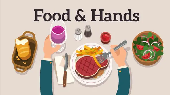Food & Hands Explainer 11101923