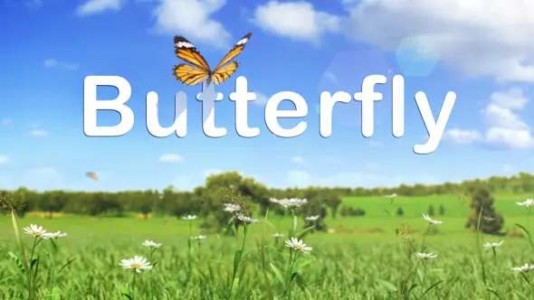 Butterfly Logo Reveal 10228664